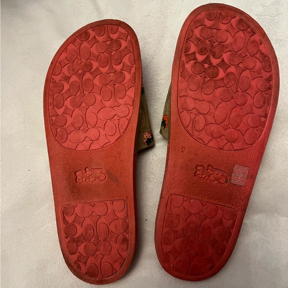 Coach Sport Slide with Strawberry Print - Picture 6 of 8